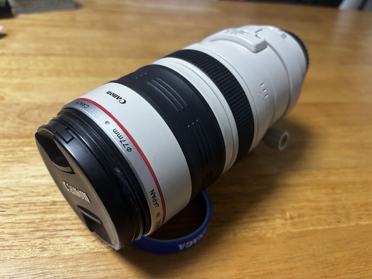 Canon キャノン 一眼レンズ EF100-400mm F4.5-5.6L IS USM EF100-400LIS拍卖