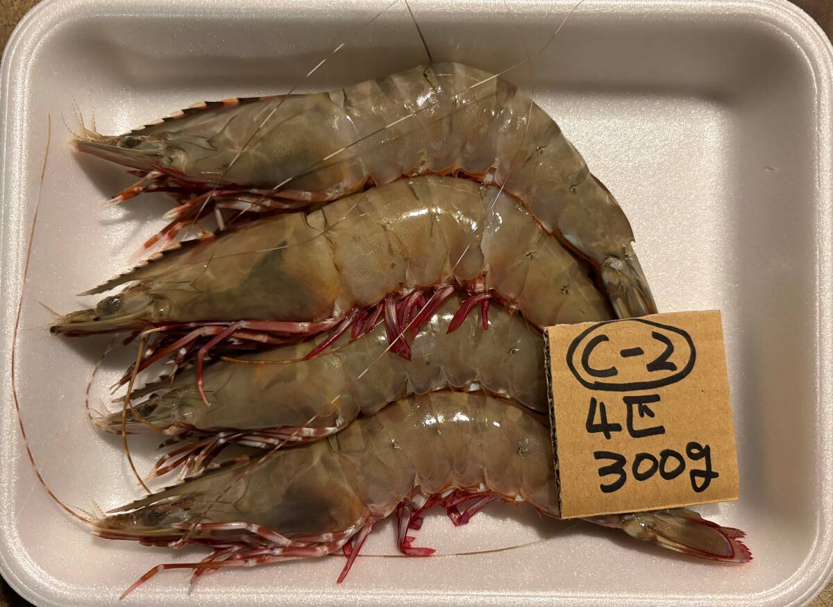 【和歌山産】 天然足赤海老 (4匹で300g) 冷凍 C-2拍卖