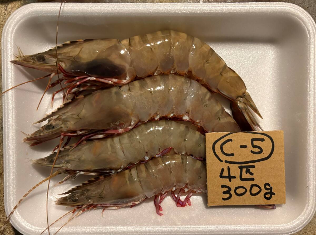 【和歌山産】 天然足赤海老 (4匹で300g) 冷凍 C-5拍卖