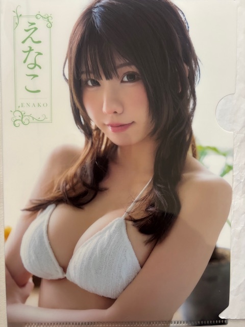 ◆即決◆ えなこ 両面クリアファイル 112拍卖