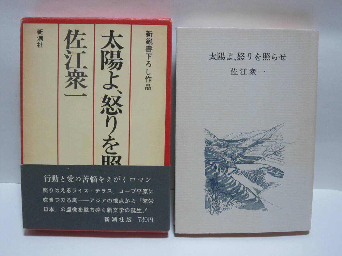 佐江衆一【太陽よ、怒りを照らせ】サイン入り拍卖