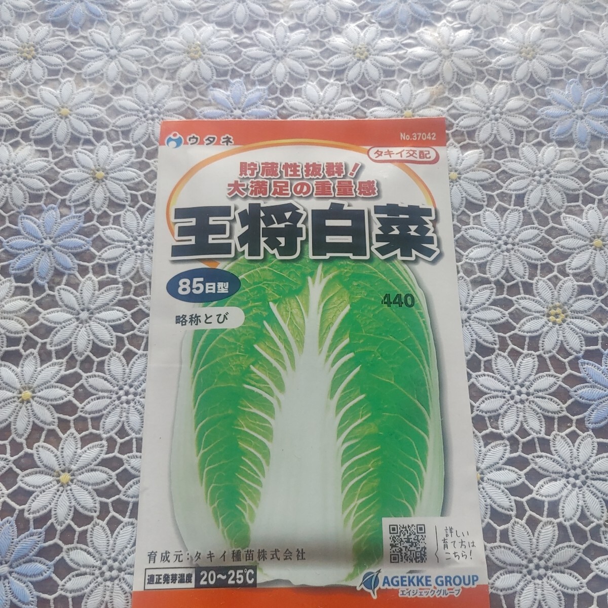 【匿名配送】野菜 たね 固定種ー白菜ー拍卖