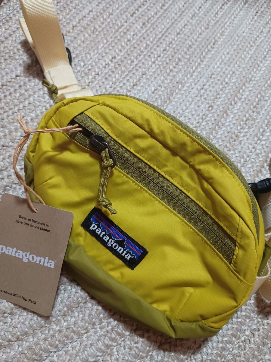新品 未使用 patagonia パタゴニア ウエストポーチ テラヴィア ミニ ヒップパック バッグ ショルダー 1L GLAZE GREEN グレイズグリーン拍卖