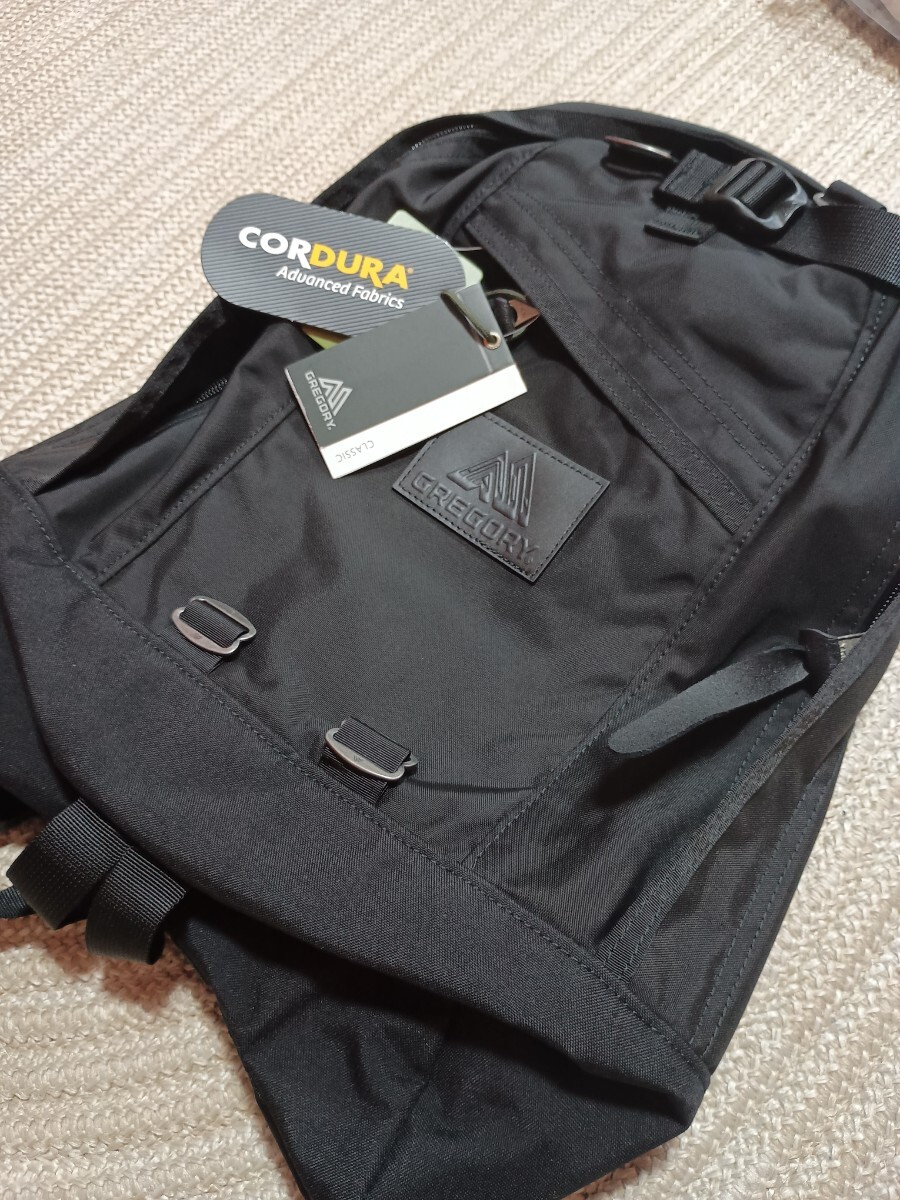 新品 未使用 GREGORY グレゴリー レザーパッチ バックパック リュック ファインデイ CLASSI DAY フリークスストア 別注 男女兼用 拍卖