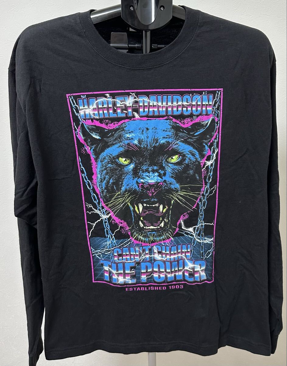 harley davidson ロンT サンダー 長袖Tシャツ ロングスリーブTシャツ 長袖 ハーレーダビッドソン 古着拍卖