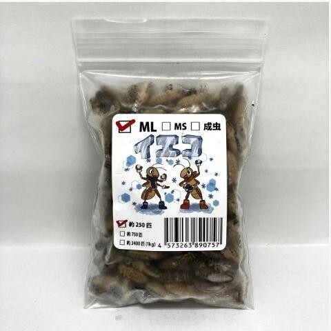 【送料無料・邑楽ファーム・クール便発送】冷凍イエコオロギ MLサイズ(約250匹入り)拍卖