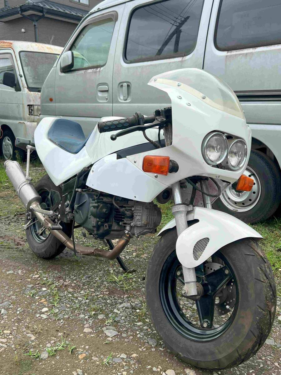 スズキ GAG ギャグ ハーフカウル DoreamRevolution拍卖