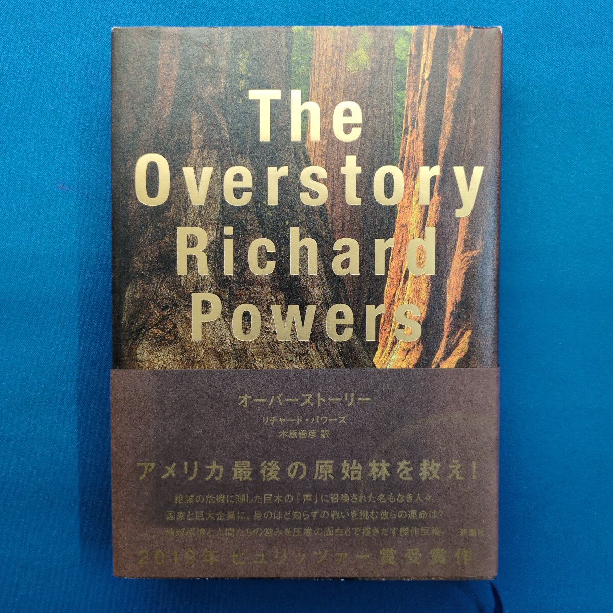 MW-2911 オーバーストーリー リチャード・パワーズ 新潮社拍卖