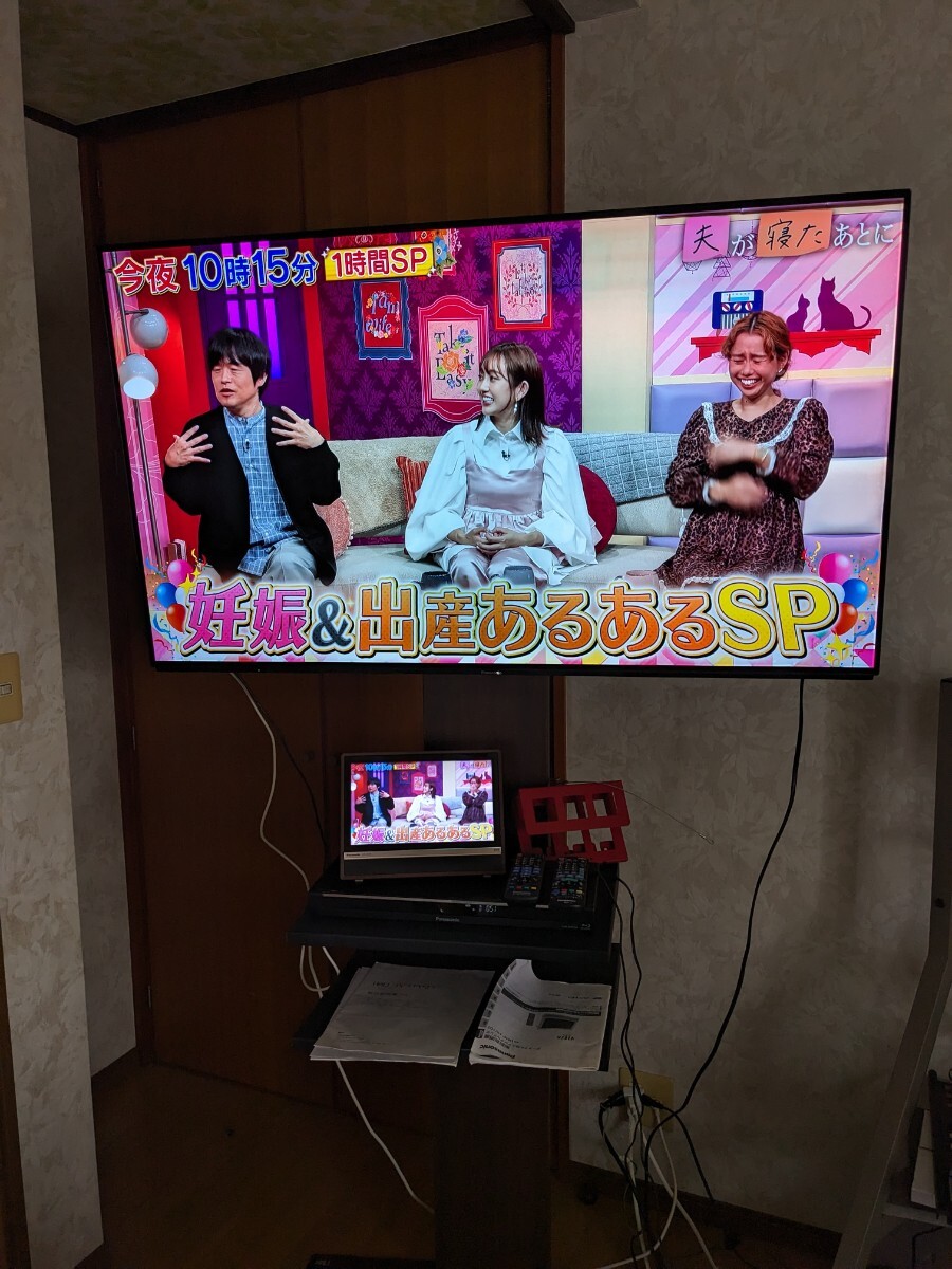 Panasonic Viera55型 有機EL 2019 ビエラHDDブルーレーレコーダー定価40万超!訳! 引取希望 成田 稲敷 香取!拍卖