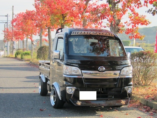 ハイゼットトラックジャンボ前期 S500P S510P ハイゼットジャンボ 500系 ワイパーガード ジャンボ はろーすぺしゃる拍卖