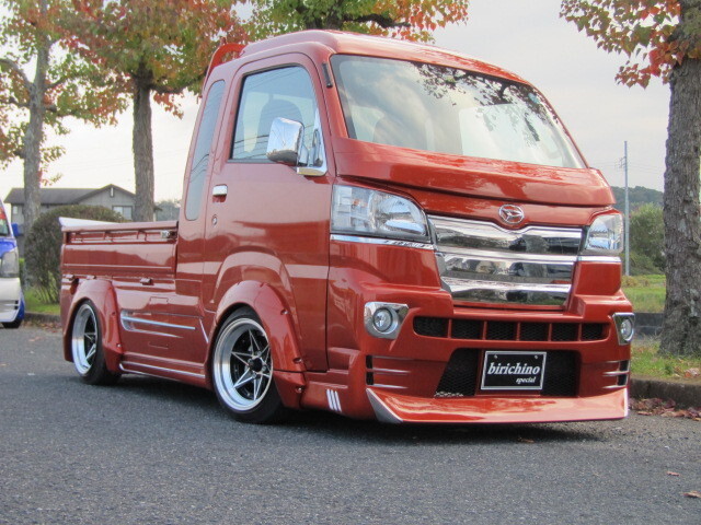 ハイゼットトラック ジャンボ S500P ワイパーガード ハロースペシャル HIJETTRUCK Hellospecial はろーすぺしゃる拍卖
