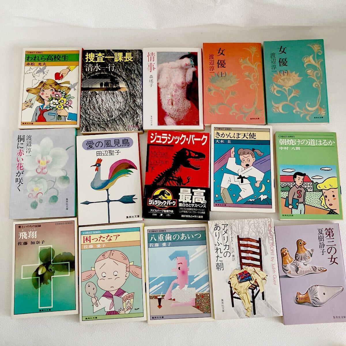 e240④60 古本 文庫本 小説 まとめて 15冊 渡辺淳一 森瑤子 佐藤愛子 田辺聖子 夏樹静子 中村八郎 大木圭 清水一行 読書 拍卖