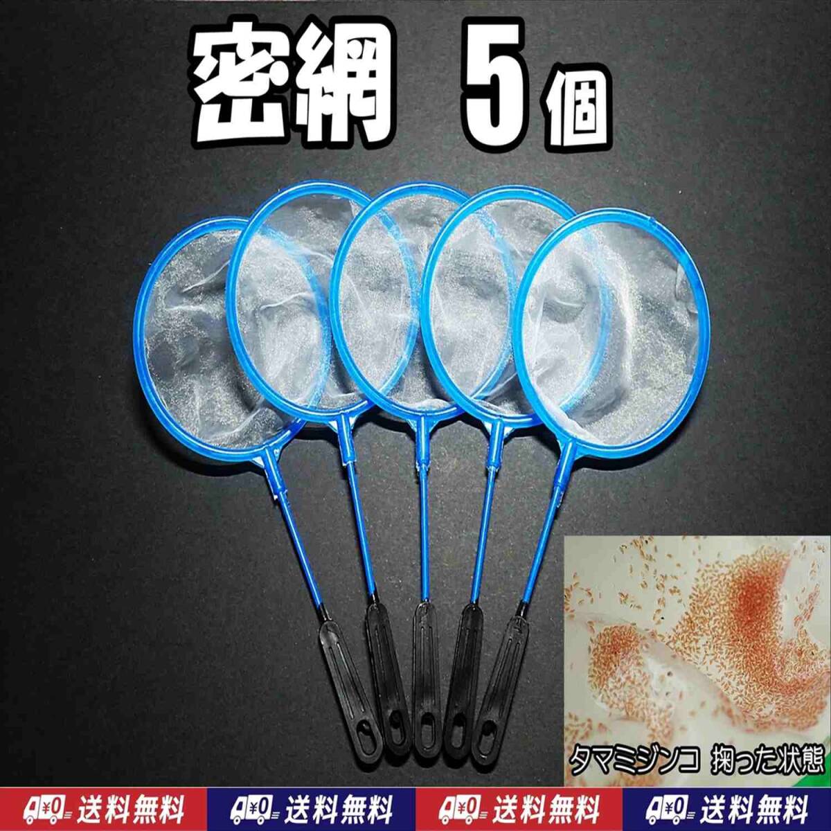 【送料込】密網SS 5本   即決 水槽 メダカ エビ シュリンプ ミジンコ用等に ネット 5個 ゾウリムシは濾せません拍卖