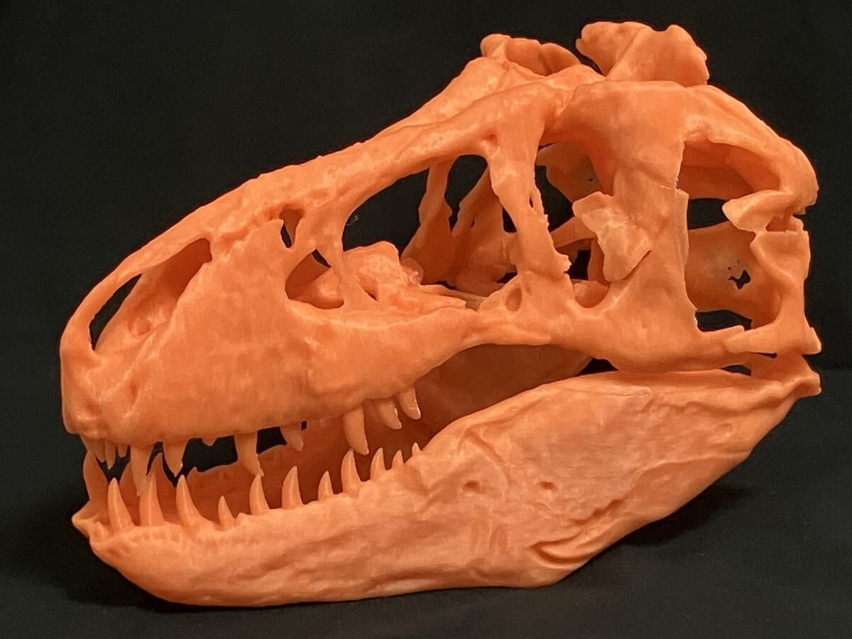 ティラノサウルス 頭骨レプリカ拍卖
