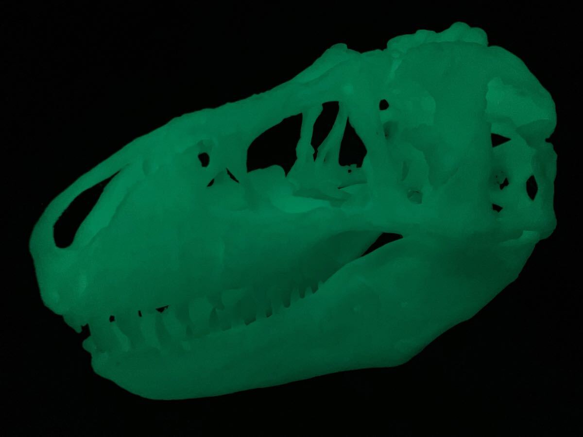 ティラノサウルス 頭骨レプリカ拍卖
