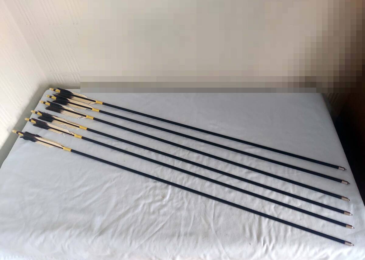 ●弓道 EASTON XX75・1913 弓矢/弓具●6本 拍卖