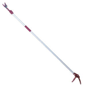 高枝切バサミ 5段階伸縮式 3m 鋏 軽量 剪定 果実 採取 高枝切鋏 ガーデニング 庭 枝切り tecc-nagaeda [拍卖