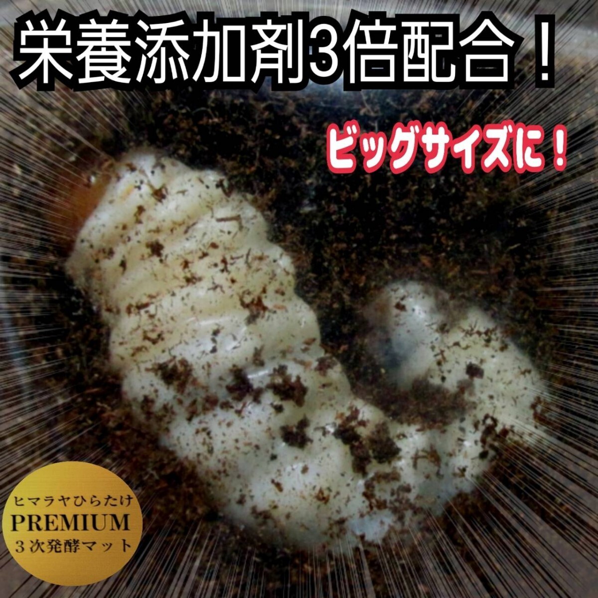 ミヤマに抜群!極上!プレミアム3次発酵クワガタマット 栄養添加剤・バクテリア3倍配合 アンテ、ニジイロ、ノコギリにも抜群!産卵にも!拍卖