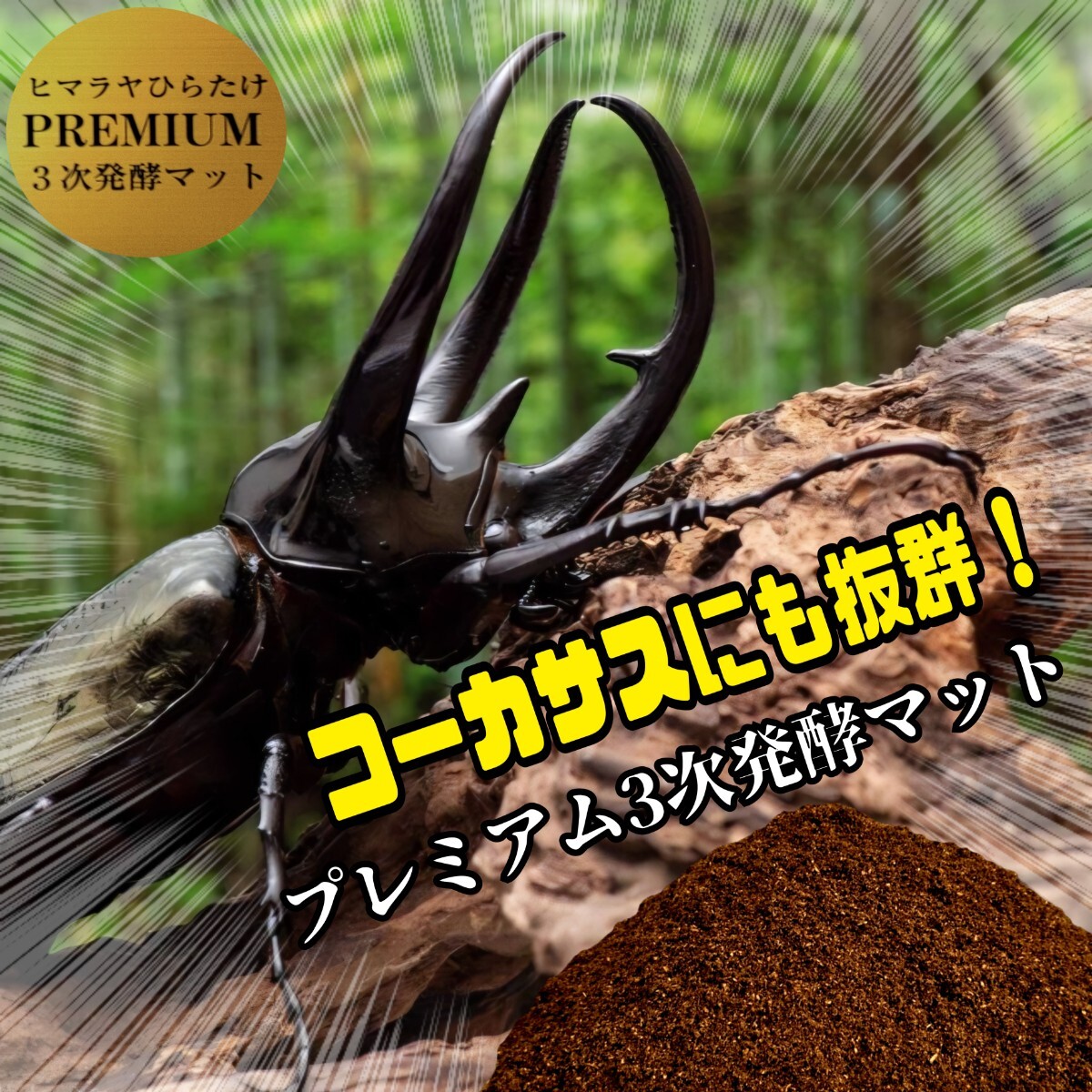 極上品!さらにグレードアップしたプレミアム3次発酵カブトムシマット【60L】バクテリア強化配合!ヘラクレス181ミリ羽化実績!産卵にも拍卖