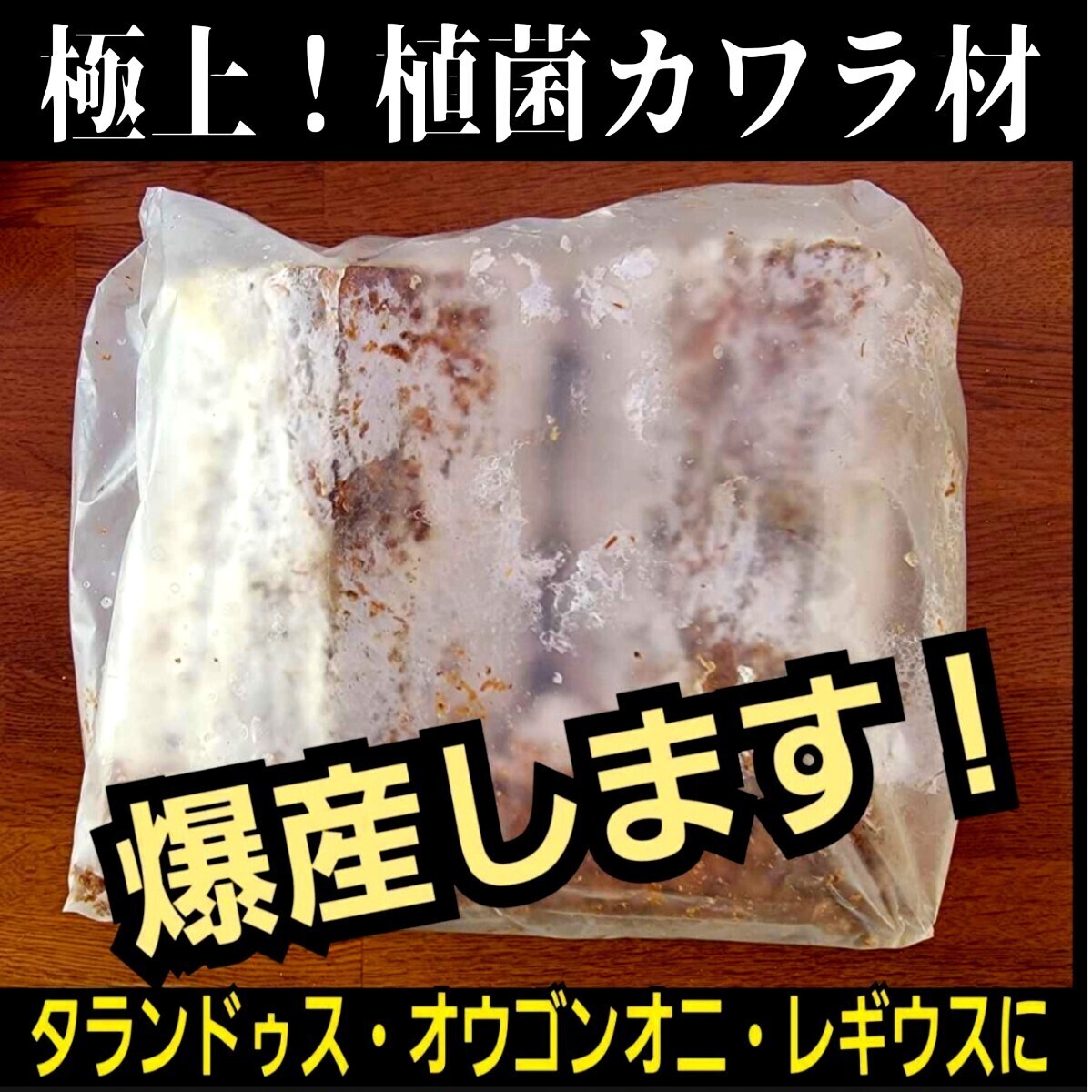 最強の産卵木 クワガタを産卵させるならコレ! 植菌カワラ材 タランドゥス、オウゴンオニクワガタ、レギウスに! カビない!加水不用!拍卖