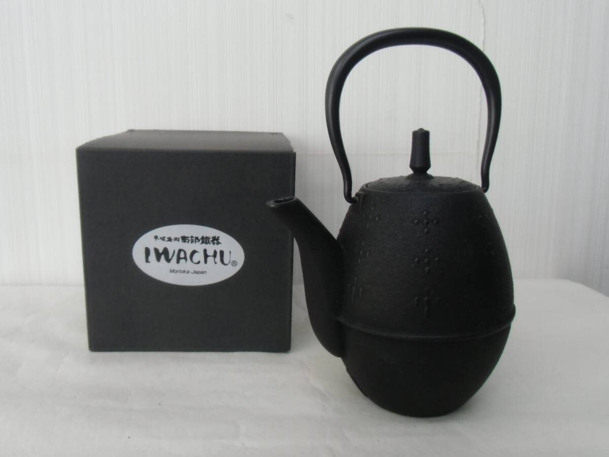 南部鉄器 岩鋳 らいす 12087 急須 ティーポット 黒 0.6L 鉄急須 鉄分 鉄瓶拍卖