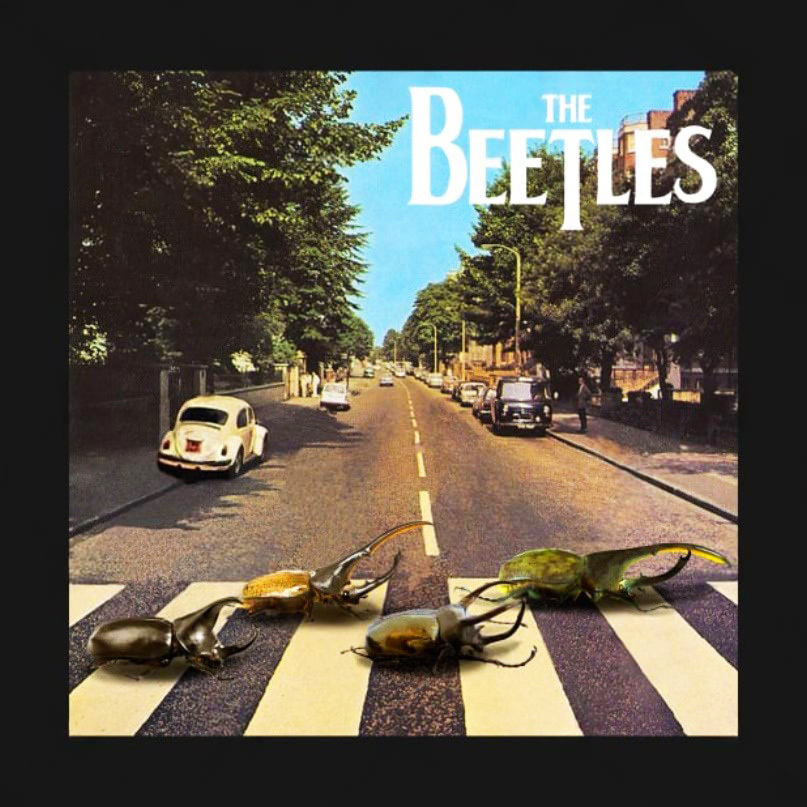 【Tシャツ】 THE BEETLES ビートルズ かぶと虫 Abbey Road アビーロード S/M/L/XL拍卖