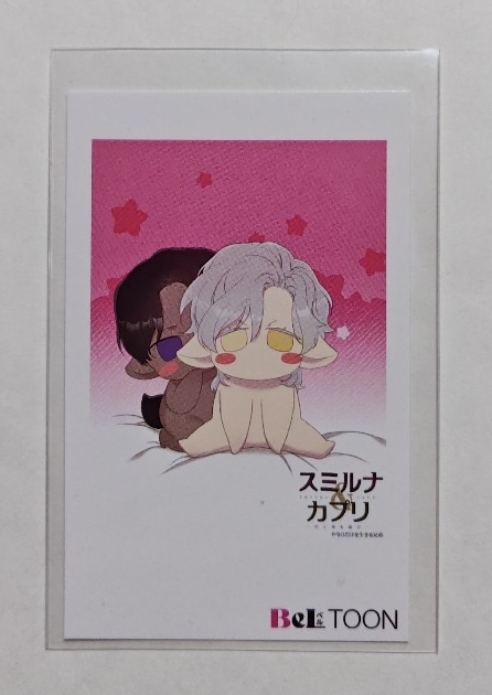 BeL TOON ベルトゥーン J庭57 配布ランダムチェキカード スミルナカプリ 今日だけを生きる兄弟拍卖