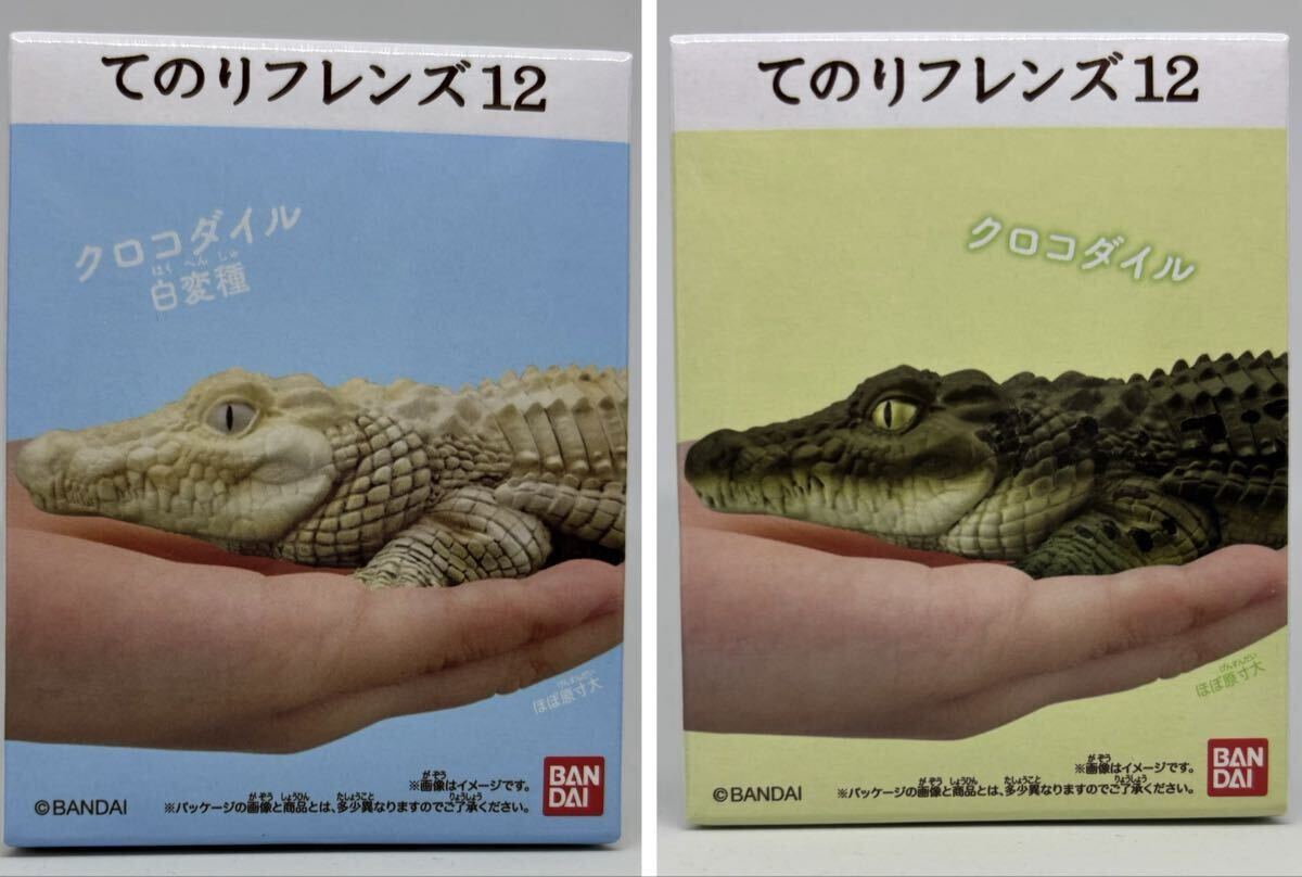 てのりフレンズ12 クロコダイル 2種セット 爬虫類 てのりフレンズ12 食玩 フィギュア バンダイ拍卖