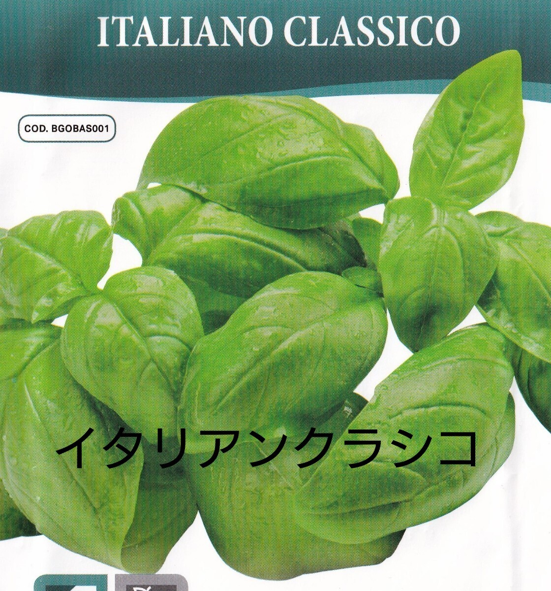 バジル・イタリアンクラシコの種子 50粒 HORTUS社 ITALIANO CLASSICO ツヤのある緑色で香り高い ジェノベーゼソースなどに最適! 固定種拍卖