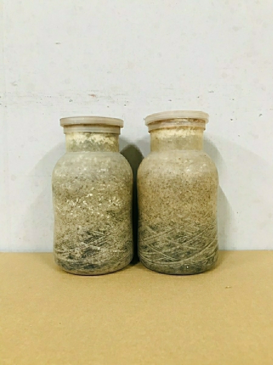 【訳あり】1円スタート!オオヒラ菌糸ビン850中古ボトル 24本セット ③拍卖