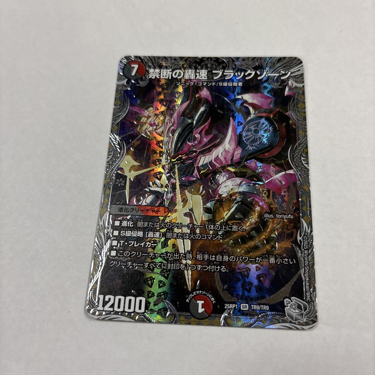 禁断の轟速ブラックゾーン銀トレジャー拍卖