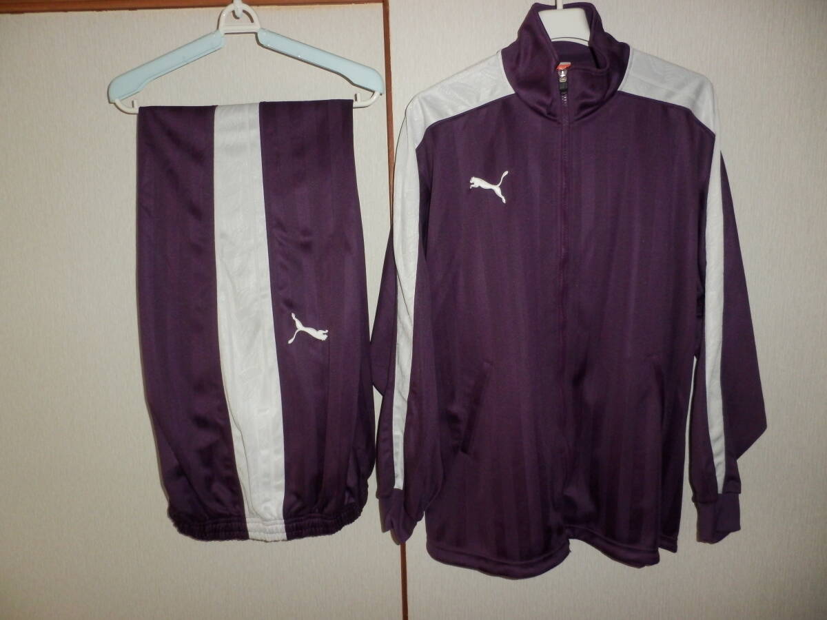 PUMA(プーマ) ジャージ上下セット L-O/Lサイズ パープル/ホワイト拍卖