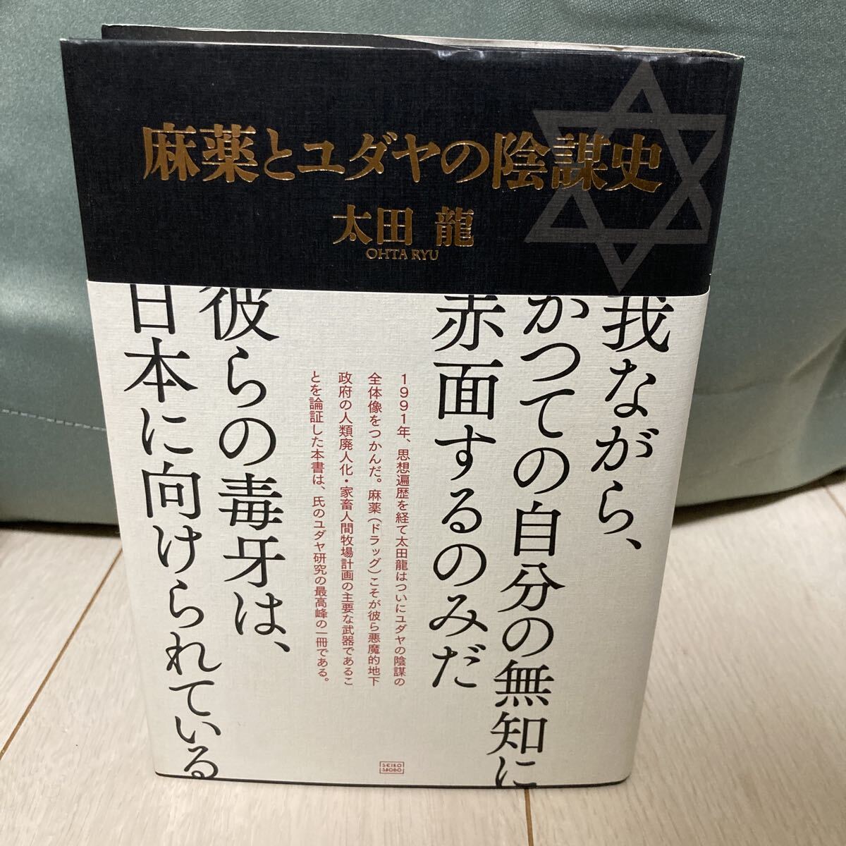 YK-6260 麻薬とユダヤの陰謀史『太田龍』成甲書房 1991年 思想遍歴 ドラッグ 政府の人類廃人化拍卖