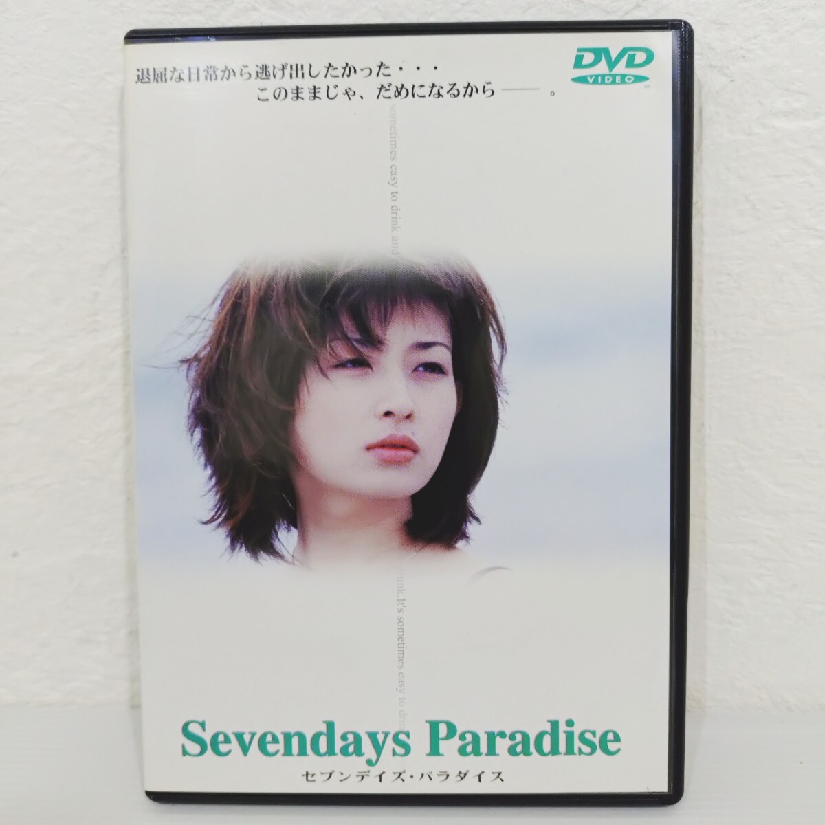 菅野美寿紀 セブンデイズ パラダイス SEVENDAYS 拍卖