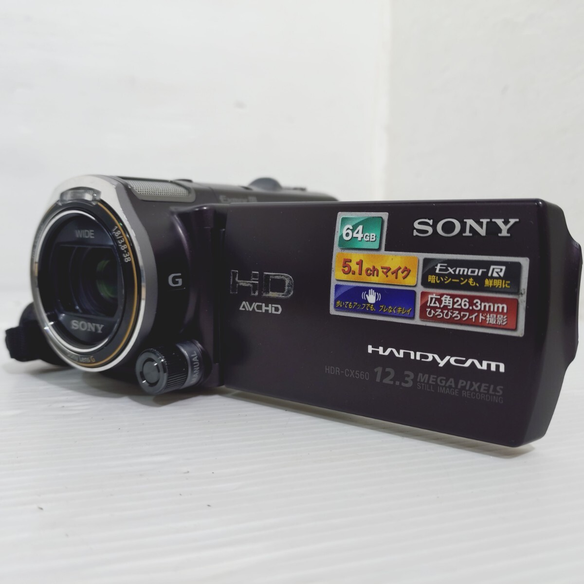 【動作確認OK】SONY Handycam HDR-CX560V 11年  バッテリー、充電器付き拍卖