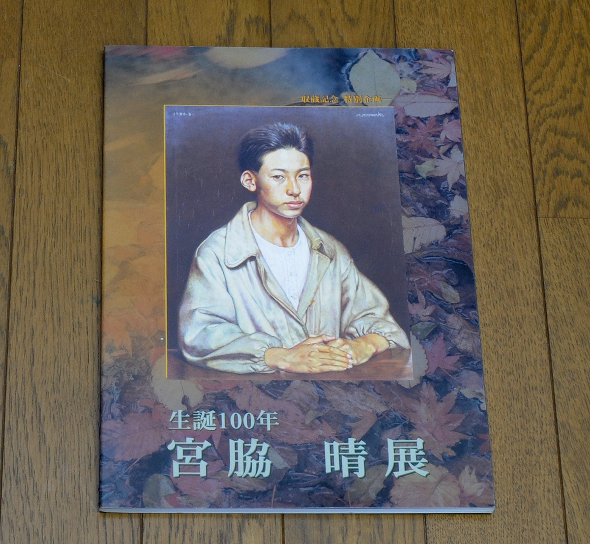 宮脇晴展 生誕100年 / 知多市歴史民族博物館 (パンフレット付)拍卖