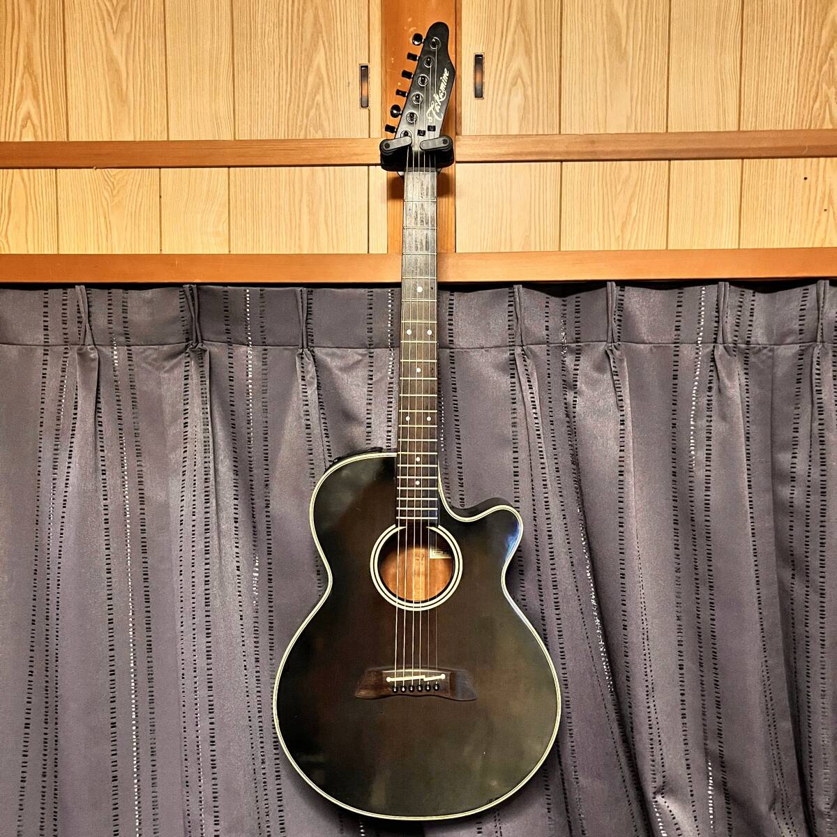 TAKAMINE PT-106-6 高峰楽器製作所 / シングルヘッド拍卖