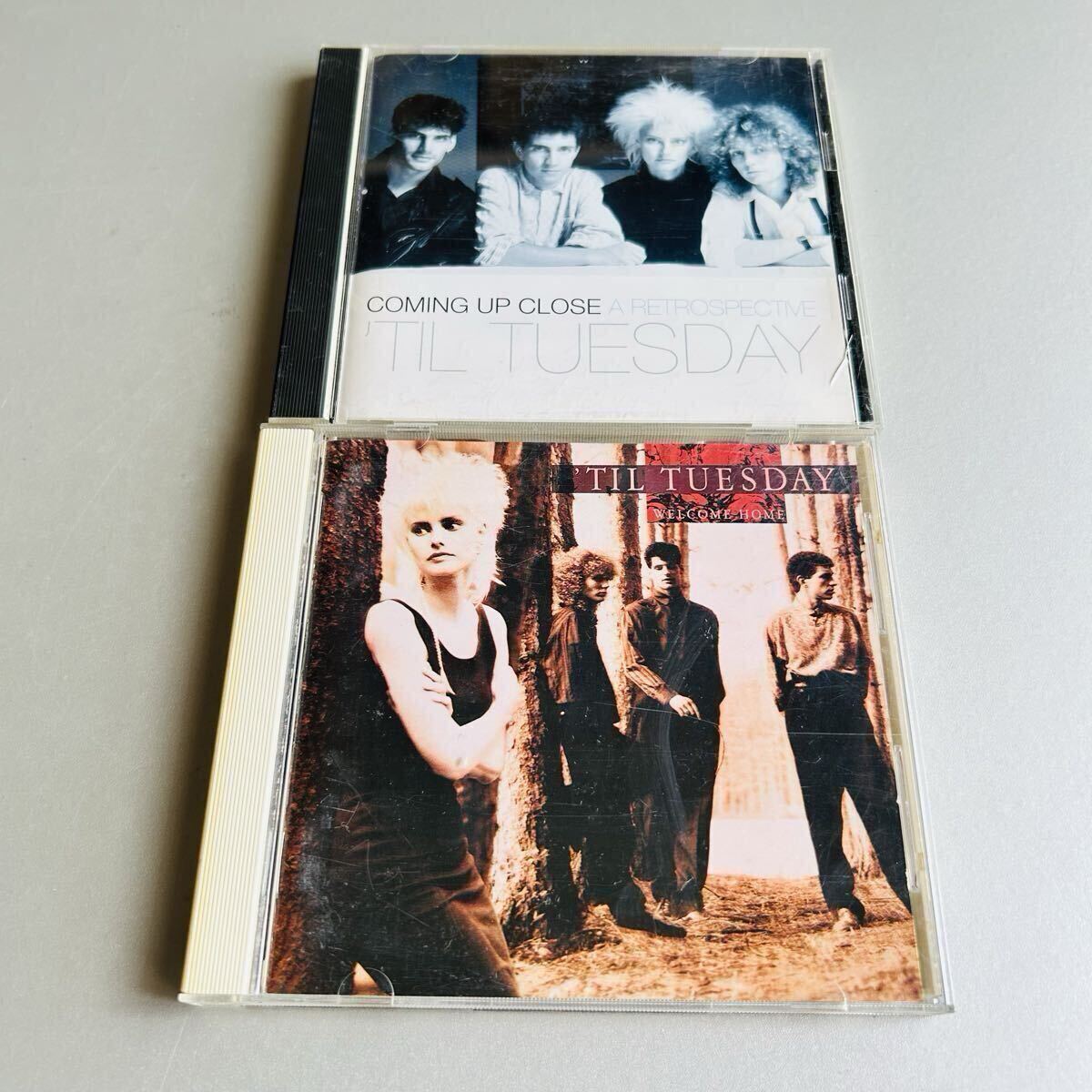 【国内盤】ティル・チューズデイ Til Tuesday/アルバム2枚 まとめ売り/Aimee Mann エイミー・マン拍卖