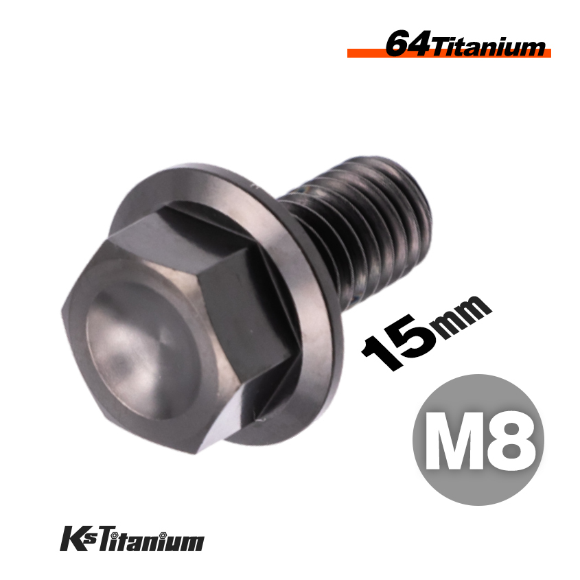 チタンボルト M8×15 全ネジ P1.25 フランジボルト ブラック 1本売り 64チタン M8 バイク レストア パーツ拍卖