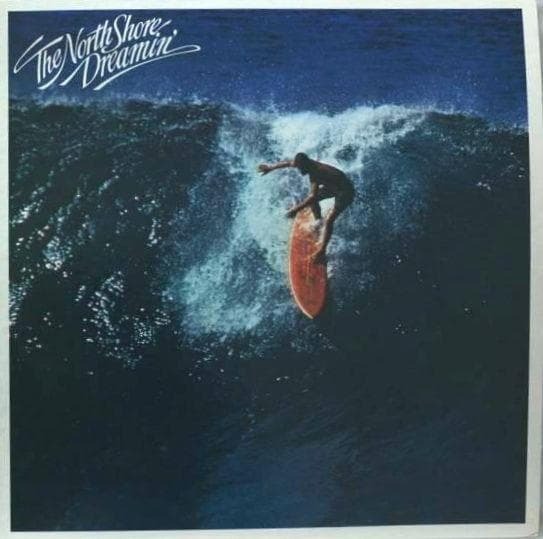 ●THE NORTHSHORE DREAMING★国内盤 アナログ★468FP拍卖