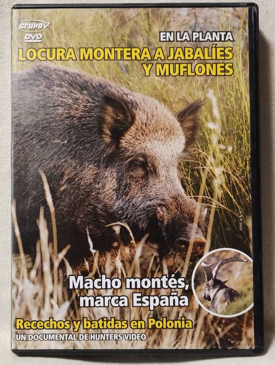 ●DVD LOCURA MONTERA★狩猟 / 狩り★72VD拍卖