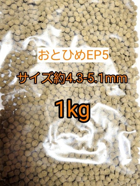 日清丸紅 沈下性 おとひめEP5 1kg 約4.3~5.1mm アクアリウム 熱帯魚 錦鯉 ポリプテルス シクリッド ダトニオ拍卖