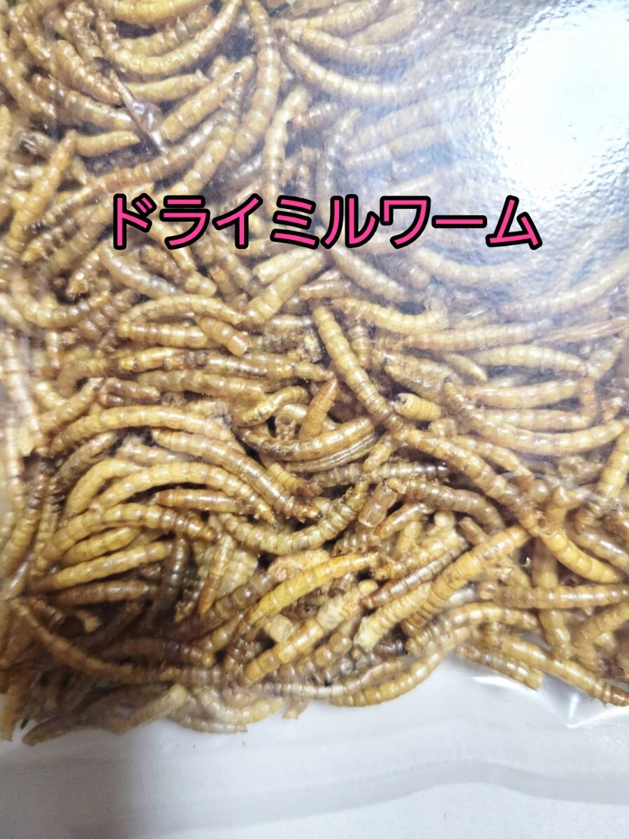 乾燥ミルワーム50g 小動物 鳥類 爬虫類 両生類 ハムスター ハリネズミ拍卖