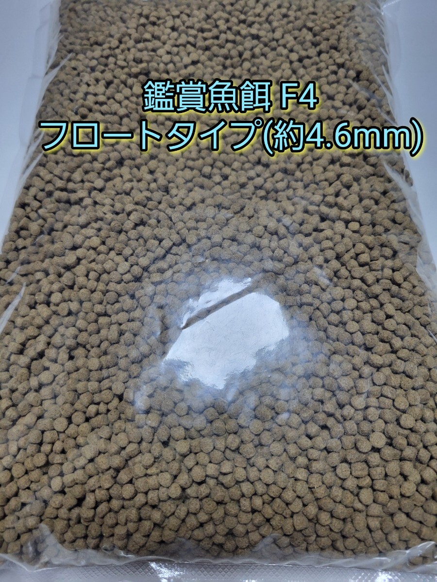 (約4.6mm)浮き餌 F-4 3.5kg 金魚 熱帯魚 錦鯉 亀 アロワナ オスカー ダトニオ ポリプテルス キャット シクリッド アクアリウム拍卖