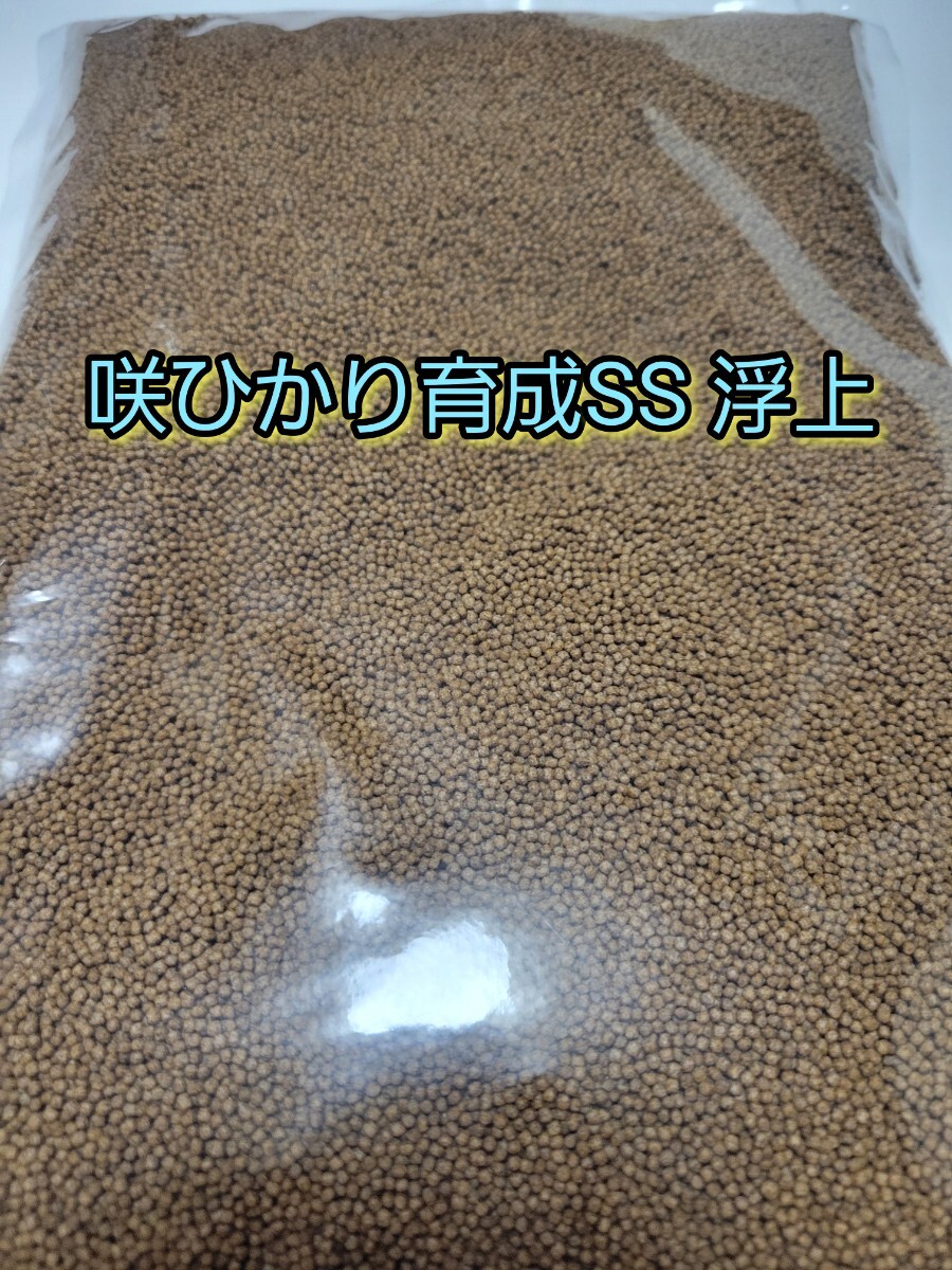 (約1.7mm)キョーリン 咲ひかり 育成 SSサイズ(浮上) 200g 錦鯉 亀 金魚 らんちゅう ピンポンパール ベタ アロワナ グラミー シクリッド拍卖
