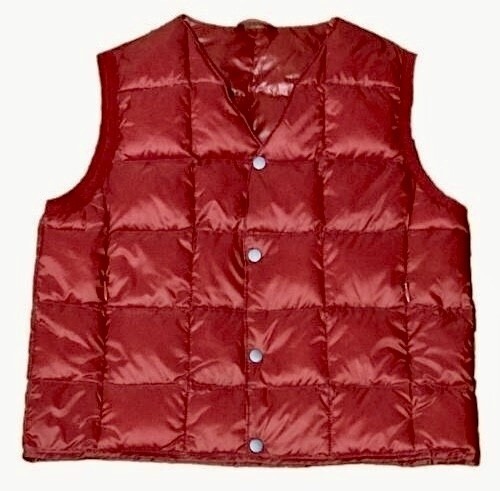 送料込み■タイオン/TAION■キッズ ベーシック Vネック ボタン インナーダウンベスト キッズサイズ110拍卖