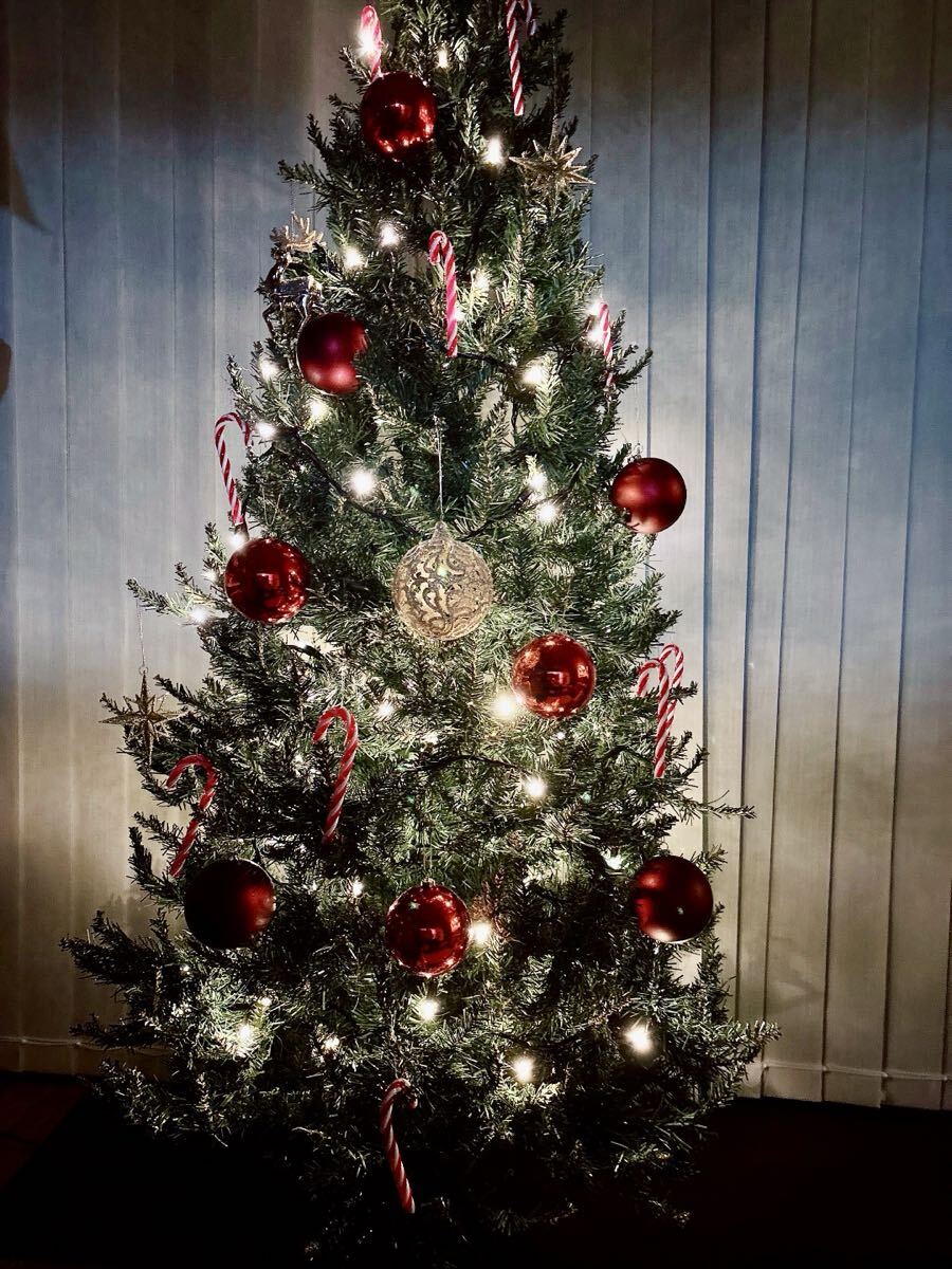 クリスマスツリー本体 185cm LED電飾付き100球 オーナメント 飾り インテリア トナカイ 冬 北欧風 パーティー 総額約4万円拍卖