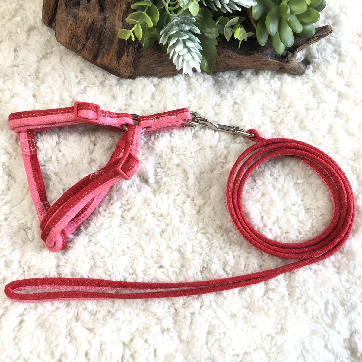 ★同梱お得★胴輪&リード・超小型犬・ツートンシリーズ-No.49・赤♪拍卖