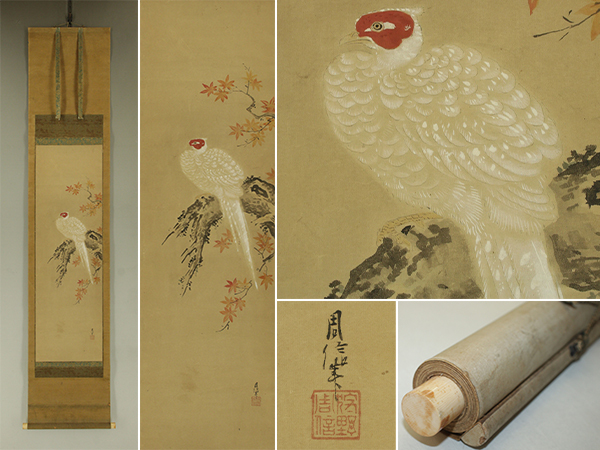 【模写】狩野周信【楓雉図】◆紙本◆合箱◆掛軸 t10068拍卖