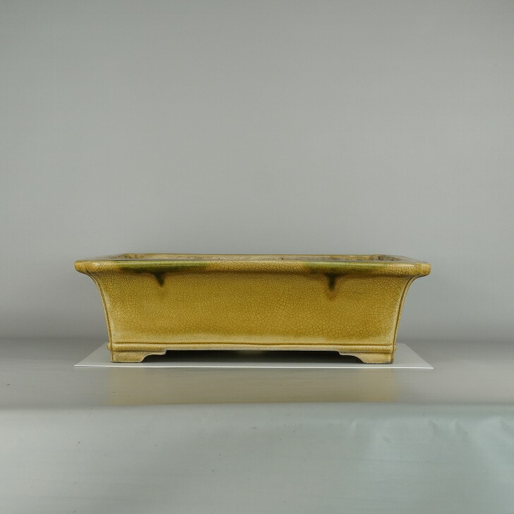 【中古】 盆栽鉢 真山作 寺畑 大型 長辺 約 51cm 長方鉢 外縁 隅入下帯 貫入 釉薬 現品 中古鉢拍卖
